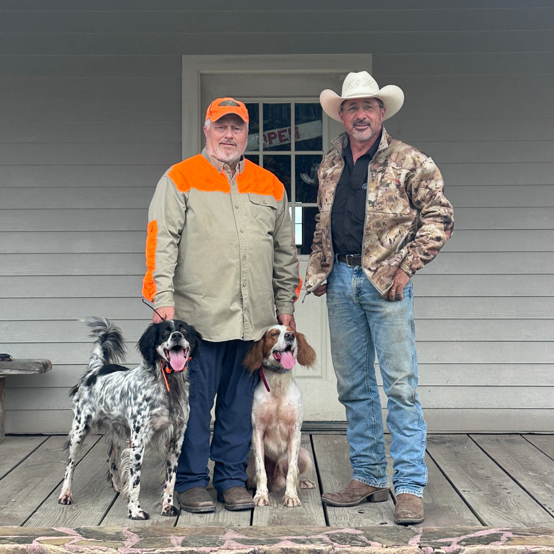 Guided upland bird hunt in Louisiana