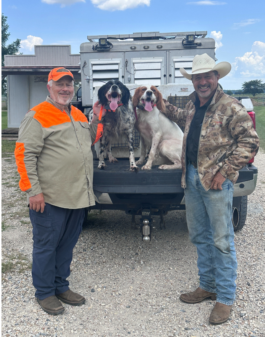 South Louisiana quail hunting guides